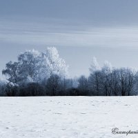 Зима – время летаргического сна природы :: Екатерина Селедцова