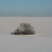 зимнее поле :: Константин Шабалин