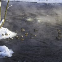 Ничего, и в Ижевске перезимуем 2 :: Владимир Максимов