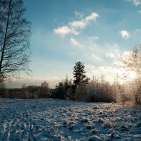 Зима :: Андрей Andrey