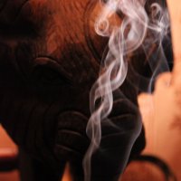 слон и дым :: Наталья Нарсеева
