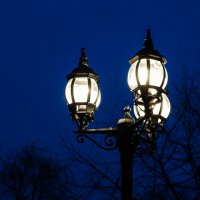 Уличный фонарь :: Геннадий Хоркин
