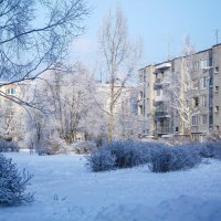 Зима :: Алена Сизова