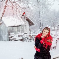 Зима в деревне :: Кристина Дмитриева