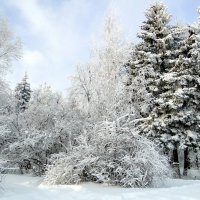 Зима :: Елена Шемякина