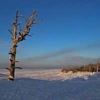 На берегу Белого моря :: Иван Клещин