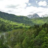 Озеро Альпзее :: Надежда Лаптева