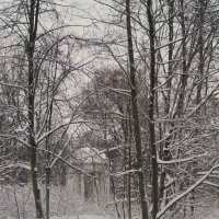 Старинный  парк зимой :: Олег Пучков