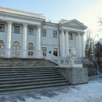 Елагин дворец. :: Валентина Жукова
