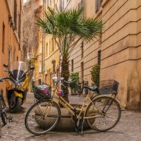 Roma bike :: Alena Kramarenko