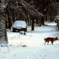 неожиданный снег в марте :: Леонид Натапов