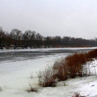 Ока в февральский пасмурный день. :: Борис Митрохин