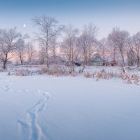 Январское утро... :: Александр Кукринов