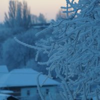 НА УТРЕННЕЙ ЗАРЕ.... :: Наталья Меркулова