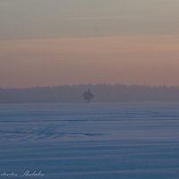 во поле березка стояла,,, :: Константин Шабалин