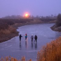 Вечерние коньки :: Александр Елизаров