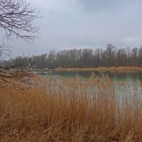 Февральский дождливый день на озере... :: Galina Dzubina