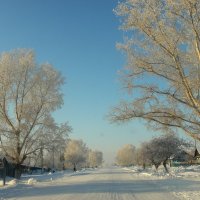 Вдоль по улице пройдусь.... :: nadyasilyuk Вознюк