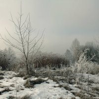 Утро, мороз, туман :: Виктор (victor-afinsky)
