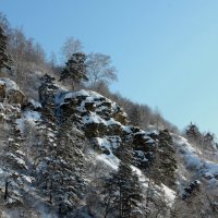 И на камнях растут деревья :: Радмир Арсеньев