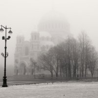 Туман :: Сергей Григорьев