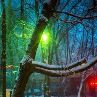 Снегопад в Москве :: Игорь Герман