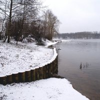 Воспоминания о первом снеге.... :: Николай Дони