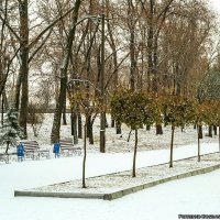 Парк Юбилейный - Кременчуг :: Богдан Петренко