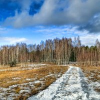 Зимняя картинка :: Милешкин Владимир Алексеевич 