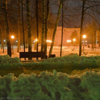 Огни вечернего парка. :: Виктор Евстратов