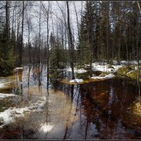 Весна на Грузинке :: Николай Капранов 