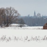 Перспективная жизнь. :: Николай Спиридонов