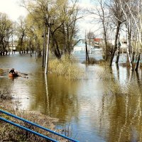 разлив р.Болвы в Брянске :: Леонид Натапов