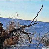 "ПУЛЕМЕТ" :: Валерий Викторович РОГАНОВ-АРЫССКИЙ