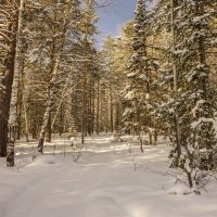 Забытая дорожка :: Олег Мартоник