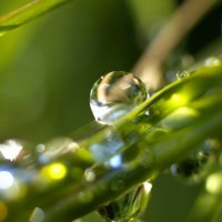 waterdrops :: ~ Backstage ~ N.