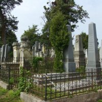 Старое  еврейское  кладбище  в  Черновцах :: Андрей  Васильевич Коляскин