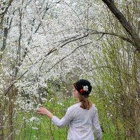 Прекрасная весна!!! :: Светлана Масленникова