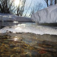 Живоносный ручеёк :: Лариса Чудиновских