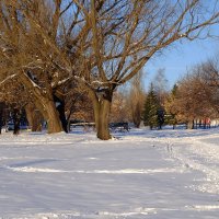 Зимние зарисовки :: Алексей Афанасьев