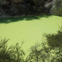 Бассейн Дьявола в геотермальном парке Wai o tapu :: Irina Shtukmaster