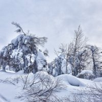 На Полюде :: Стил Франс