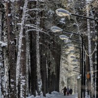 winter corridor :: Dmitry Ozersky