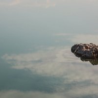 Михаил Свадковский - rocky croc in Dead Sea :: Фотоконкурс Epson