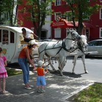 Карету мне, карету... :: Евгений Голубев