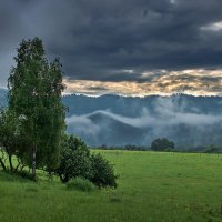 Сырое утро :: Виктор Четошников