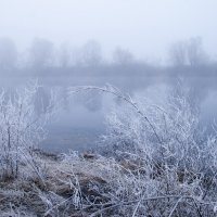 Последний иней- прощальный взмах Зимы :: Елена Пономарева