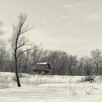 Сибирская глубинка. Домик в полях :: Дмитрий Конев