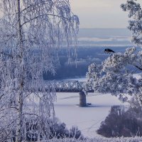 Высоко сижу, далеко гляжу... :: Альмира Юсупова