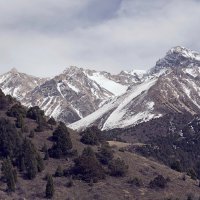 Начало астрономической весны (Дни весеннего равноденствия) :: Александр Грищенко